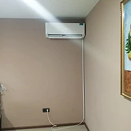 ДНТ Клевер